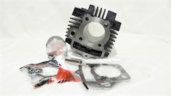 Поршневая группа Alfa/Delta 110 тефлон (выбито 49.9) TMMP AD000182 - фото 11258