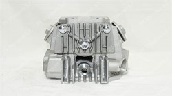 Головка цилиндра Alfa/Deltа 70 (в сборе) AD000031 - фото 11702