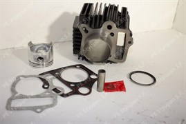 Поршневая группа Alfa/Delta 100 SDTW AD000181