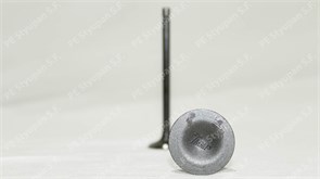 Клапан CG 150 TMMP CC000037