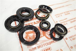 Набор сальников двигателя Пл (Чайковские) IZ000287