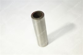 Палец Муравей (Россия) MU000075