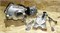 Двигатель Alfa/Delta 70 (механика) AD000287 - фото 11280